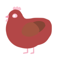 ruby, a red and russet chicken