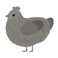 A ash and grey chicken with a double-lace pattern