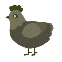 A grey and ash chicken with a head pattern