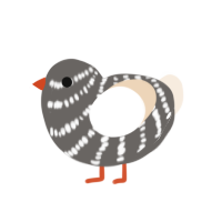 Lil goose, a grey and cream chicken with a bar pattern
