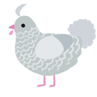 A silver and mist chicken with a lace pattern