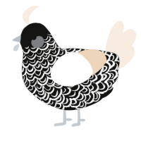 A black and cream chicken with a double-lace pattern