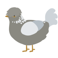 A ash and mist chicken with a neck-speckle pattern