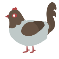 A silver and bark chicken with a head pattern