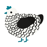 A white and sable chicken with a lace pattern