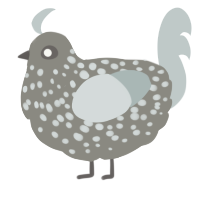 (unnamed), a ash and silver chicken with a speckle pattern