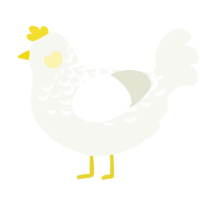 A white chicken with a half-lace pattern