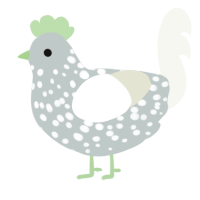 A silver and white chicken with a speckle pattern
