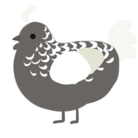 A grey and white chicken with a half-lace pattern