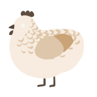 A cream and beige chicken with a half-lace pattern