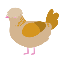 A beige and ochre chicken with a neck-band pattern