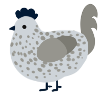 A mist and ash chicken with a speckle pattern