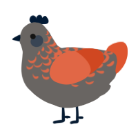 A grey and vermilion chicken with a half-lace pattern