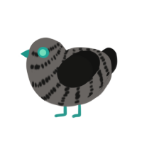 GIR, a grey and black chicken with a bar pattern