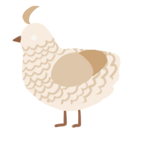 A cream and beige chicken with a lace pattern