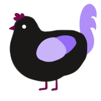 A sable and lilac chicken
