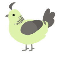 A apple and grey chicken with a neck-band pattern