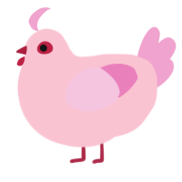 A rose and pink chicken