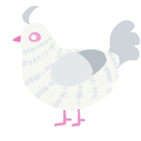 A white and mist chicken with a bar pattern