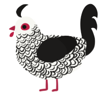 A white and sable chicken with a double-lace pattern