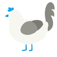 A white and ash chicken