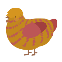 A ochre and red chicken with a bar pattern