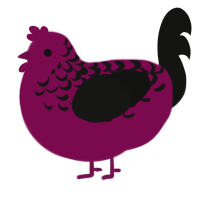 A wine and black chicken with a half-lace pattern