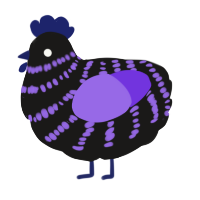 A sable and blurple chicken with a bar pattern