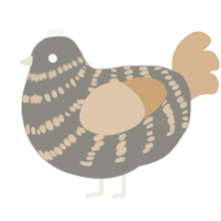 A ash and beige chicken with a bar pattern