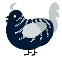 Babel Fish, a tumblr and silver chicken with a half-bar pattern