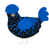 A black and ultramarine chicken with a speckle pattern
