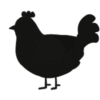 Bite the Bullet, a black chicken with a speckle pattern