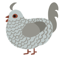 (unnamed), a silver and ash chicken with a lace pattern