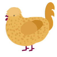 Dory, a honey and orange chicken with a speckle pattern