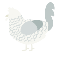 (unnamed), a white and silver chicken with a lace pattern