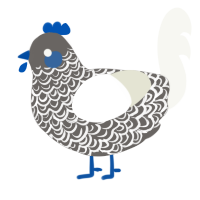 Ashutd, a grey and white chicken with a double-lace pattern