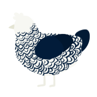 (unnamed), a white and tumblr chicken with a double-lace pattern