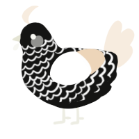 (unnamed), a black and cream chicken with a lace pattern