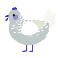 A silver and white chicken with a half-lace pattern