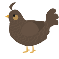 Pinecone, a bark chicken with a lace pattern