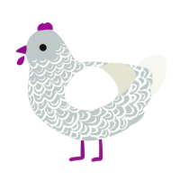 Cirrus, a silver and white chicken with a double-lace pattern