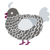 A grey and mist chicken with a lace pattern