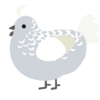 The Delights, a mist and white chicken with a half-lace pattern