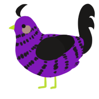 Pur-Black Ice Cream, a violet and sable chicken with a bar pattern