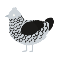 A mist and sable chicken with a lace pattern