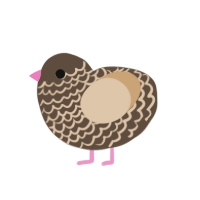 (unnamed), a bark and beige chicken with a lace pattern
