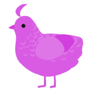 A orchid chicken with a half-lace pattern