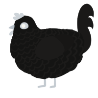 (unnamed), a black and sable chicken with a lace pattern