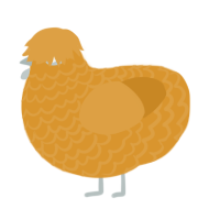 orange xxy, a orange chicken with a lace pattern