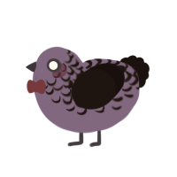 Borth, a indigo and black chicken with a half-lace pattern